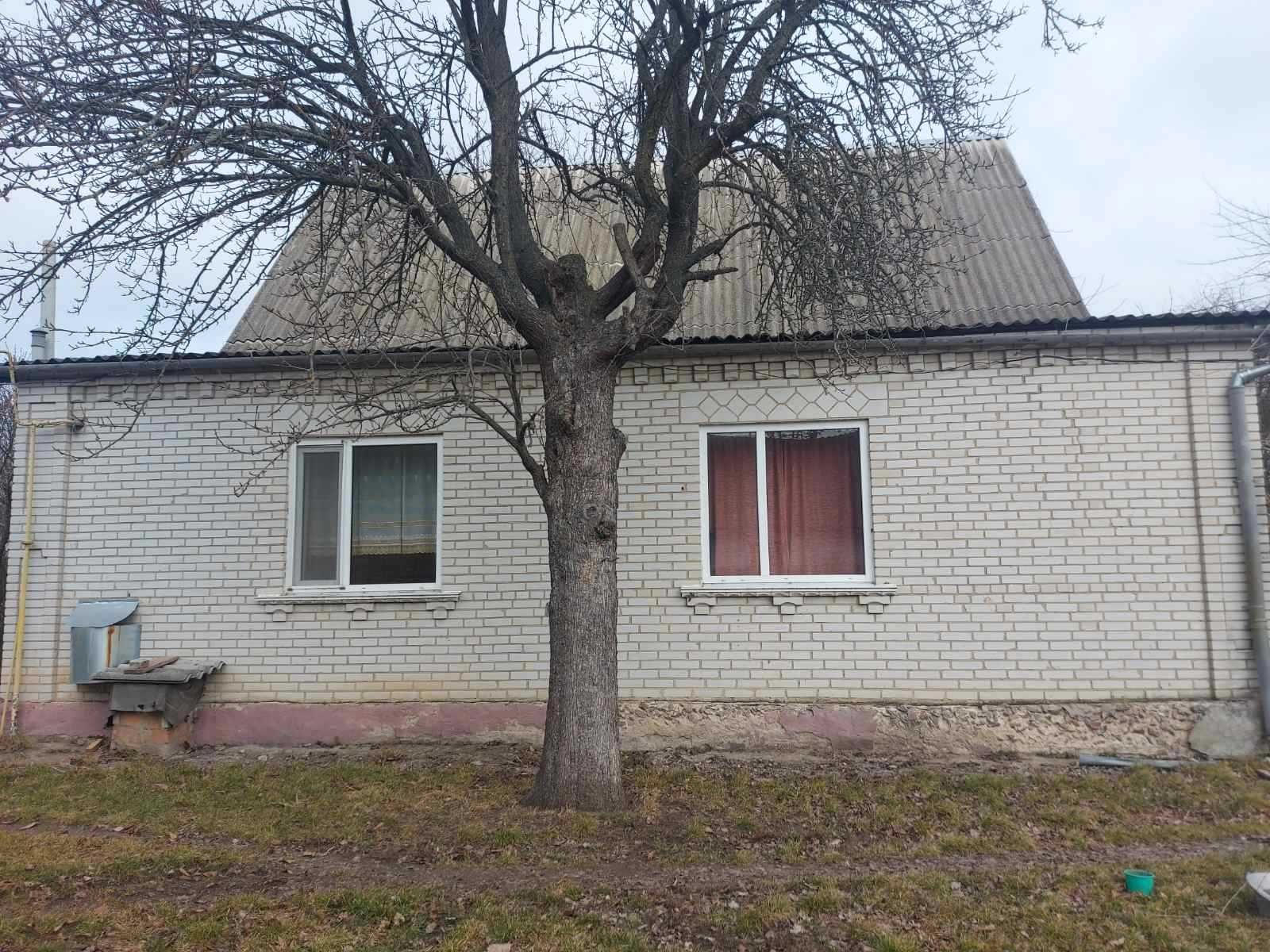 Продам будинок с. Дідовщина Фастівський рай. Київська обл.