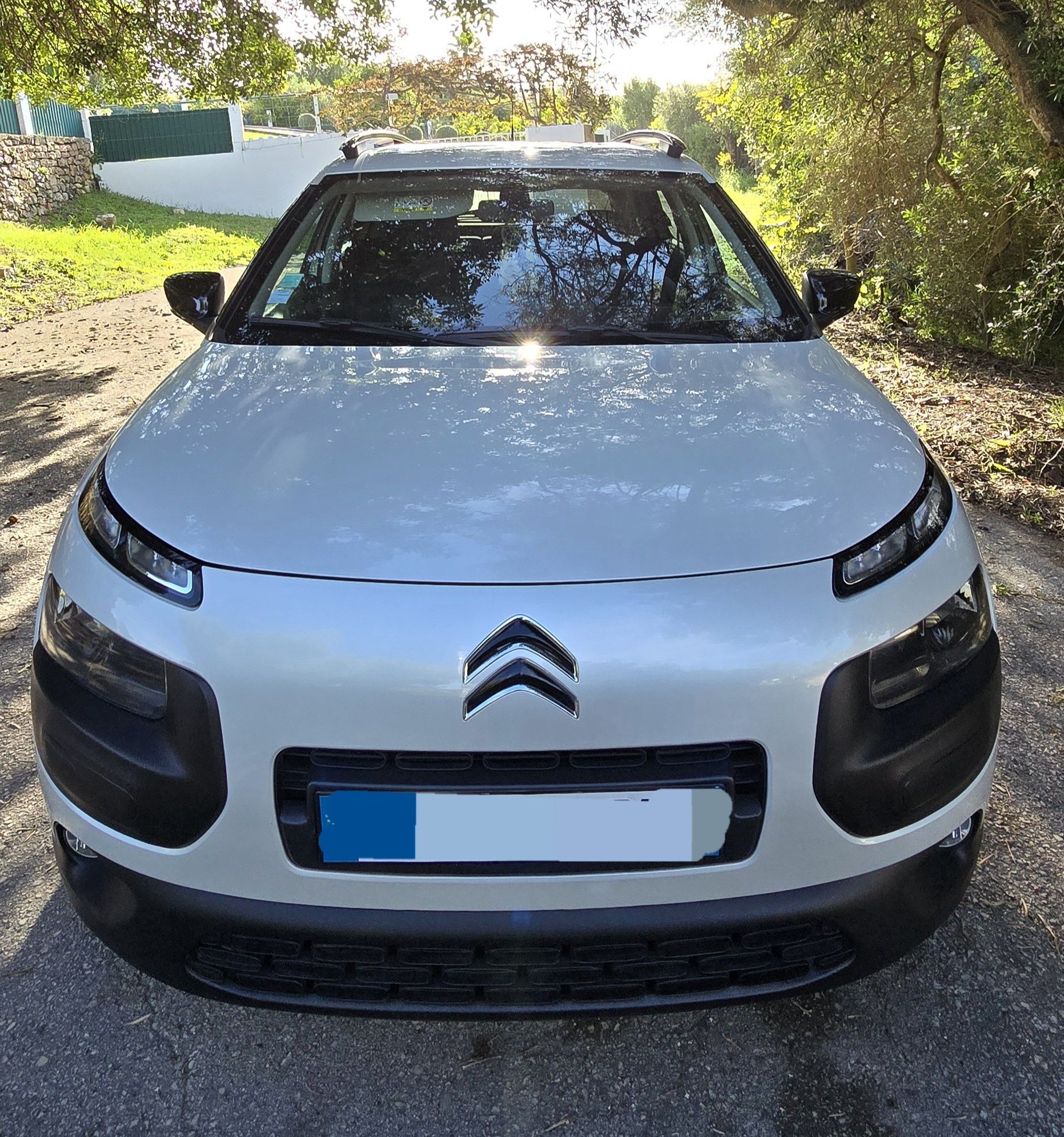 Citroën C4 Cactus Shine 1.2 PureTech 110CV 2016