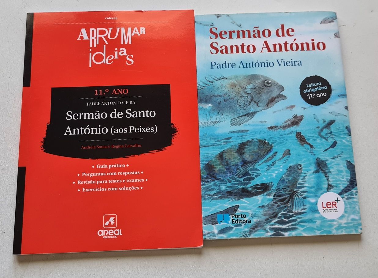 Lote de vários livros e cadernos de apoio ao estudo 11 ano