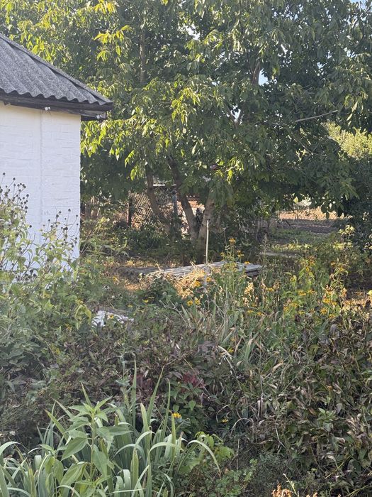 Продам будинок, село Розумниця