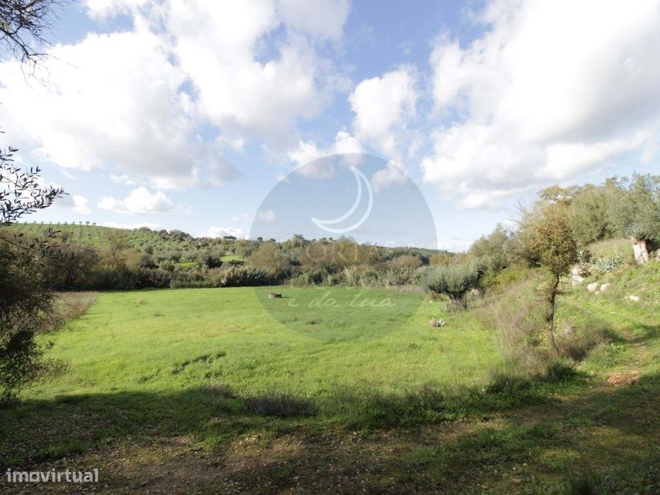 Terreno de 12.730 m2 c/ Poço em Regadio.
