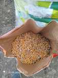 super cena paszy