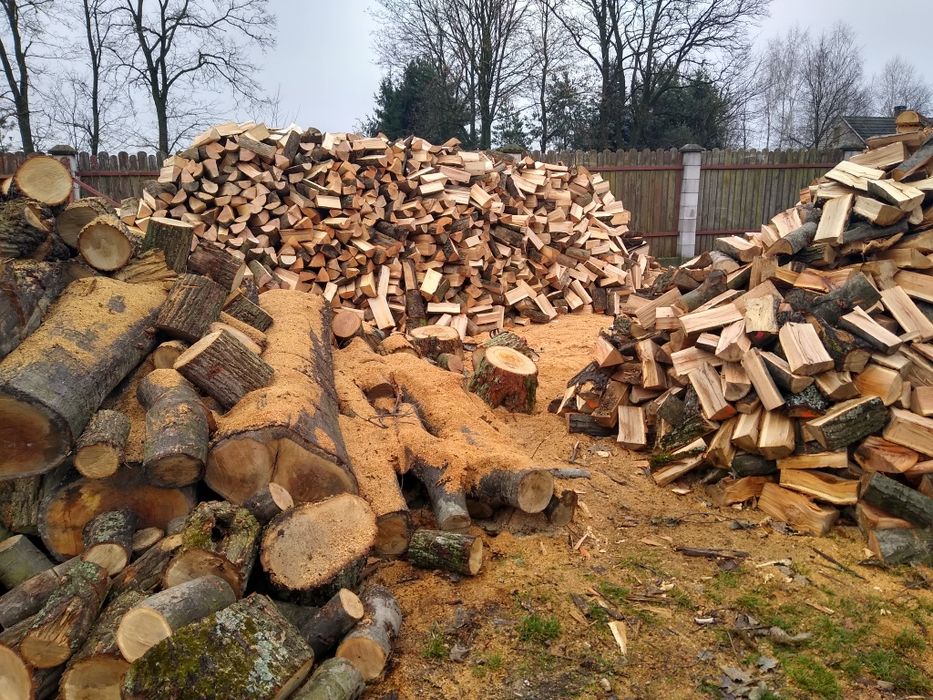 Drewno drzewo opałowe sosna dąb brzoza akacja buk