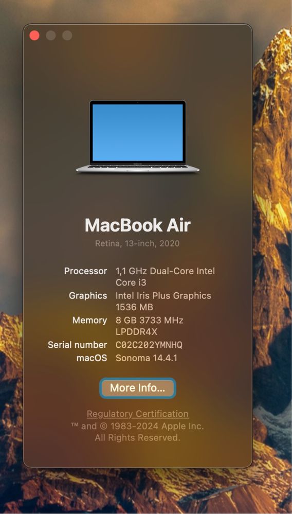Macbook Air 13 (2020)