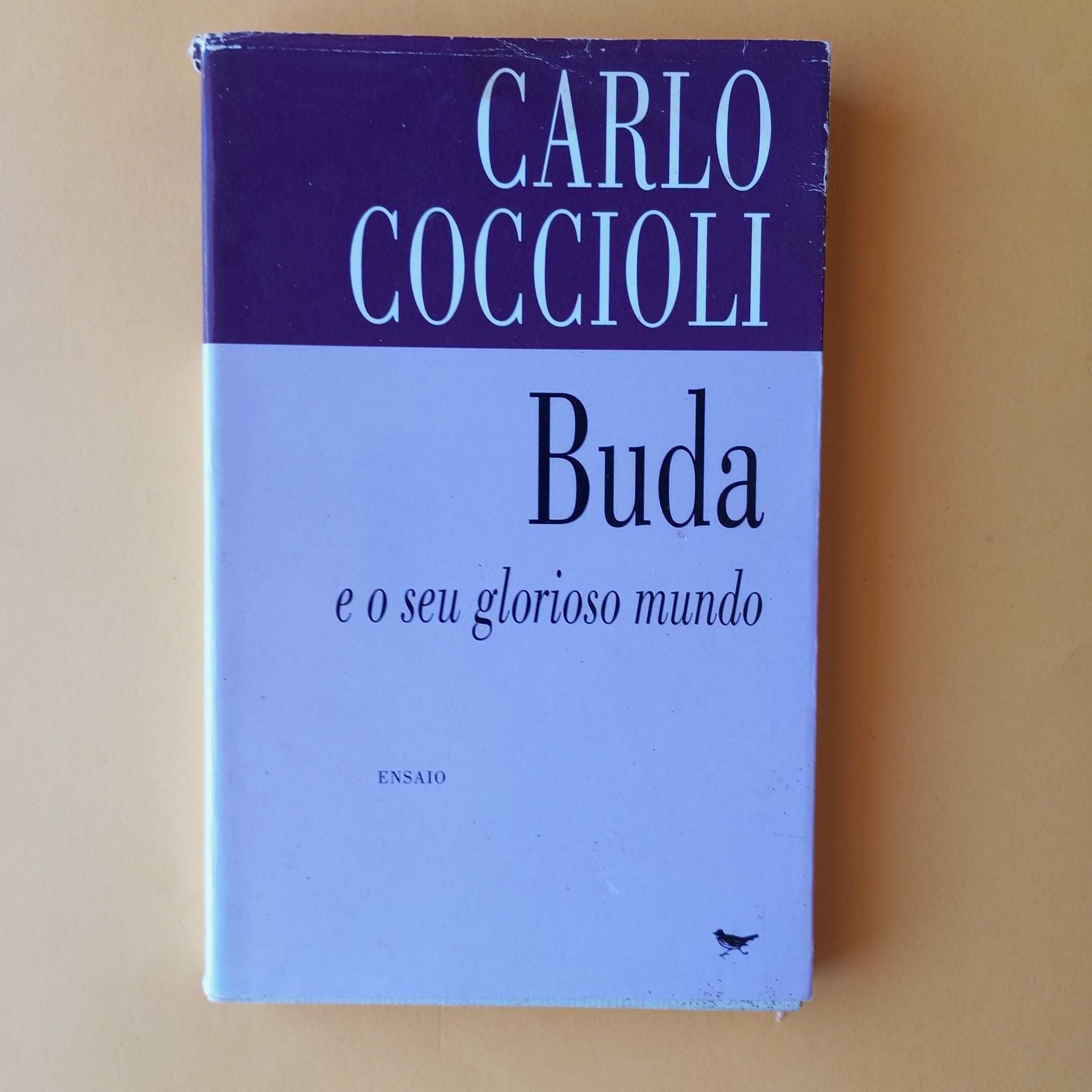 Coleção de Livros Mistos - Autores Variados - Conjunto 24
