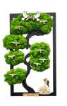Drzewko bonsai z mchem para młoda kolor podziękowanie rodzicom ślub 30