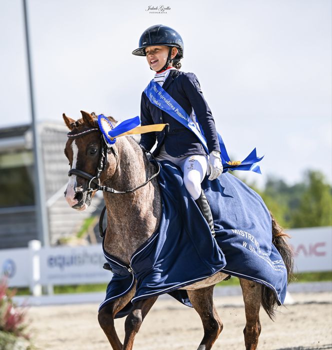 Top Kuc Walijski Anapon proximo A0