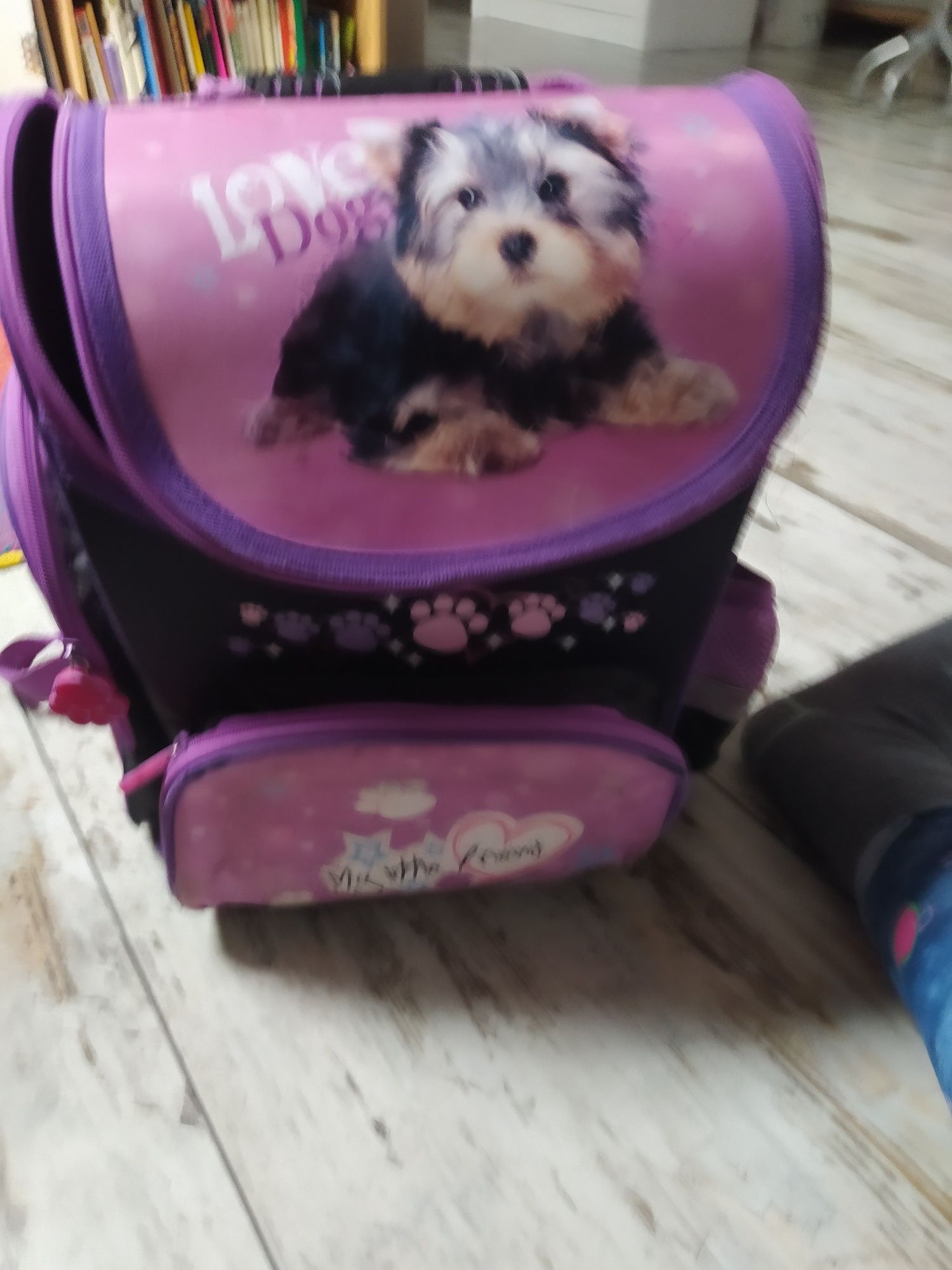 Plecak szkolny dla tych którzy lubią psy