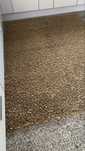 Tapete/Carpete bege 2x3