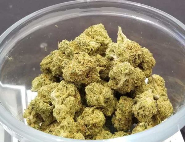 Euforia Specia Marihuana, THC próbka cena z wysyłką