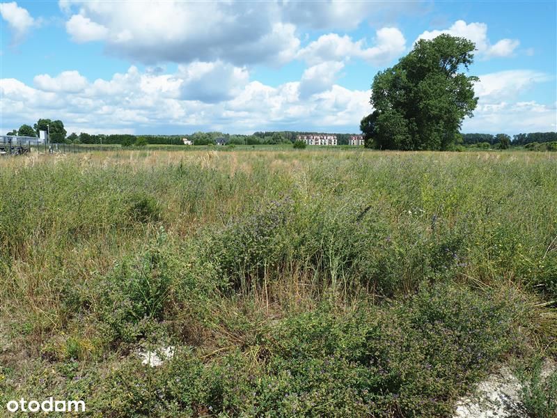 Działka przemysłowa nieopodal węzła Rusocin