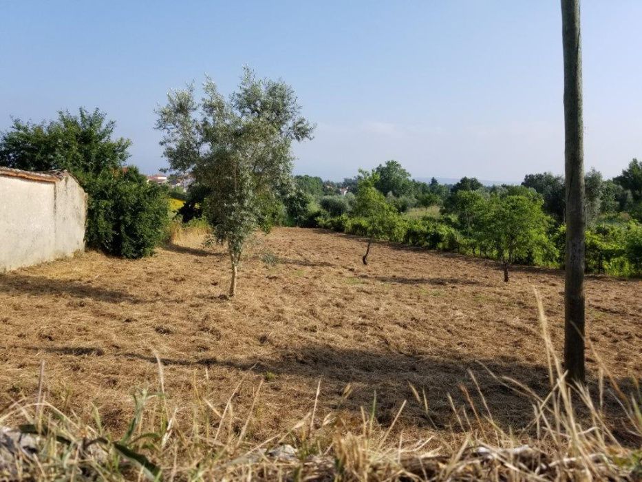 Terreno p construção 1344m2 Poiares - Coimbra