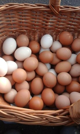 Świeże wiejskie jaja jajka