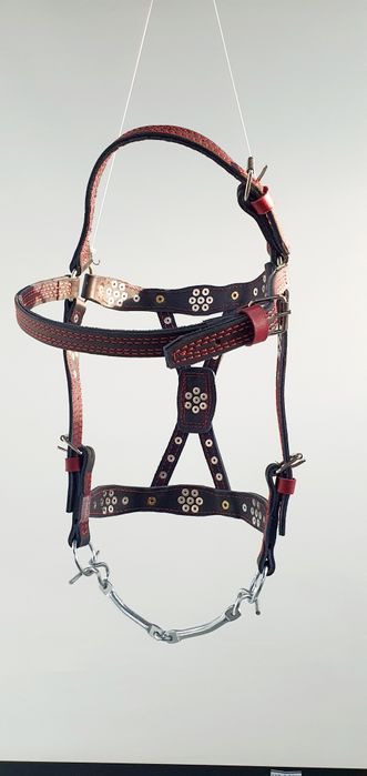 Шиємо уздечки на коня