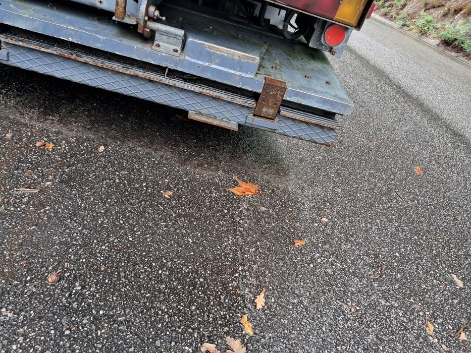 Vendo camião transporte de cavalos