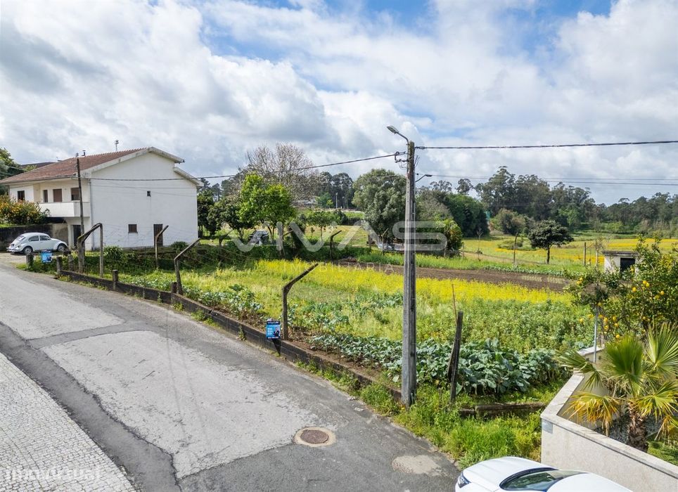 Terreno Para Construção  Venda em Ferreiros, Prozelo e Besteiros,Amare