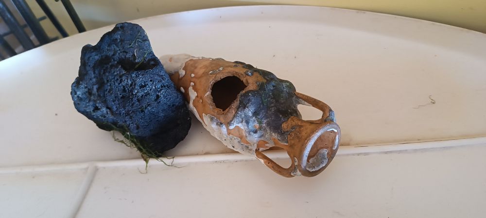 Iluminação  e decoração de aquário