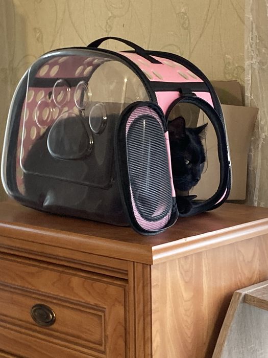 Transporter, torba dla kota, psa, królika, zwierząt domowych.