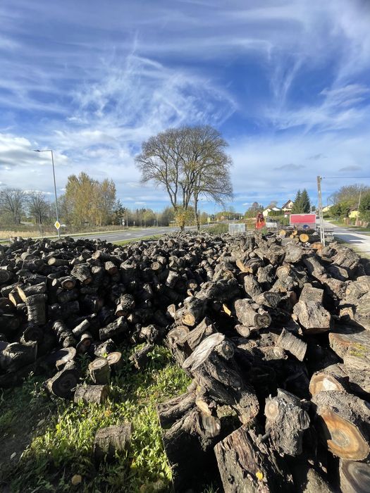 Drewno opałowe owocowe