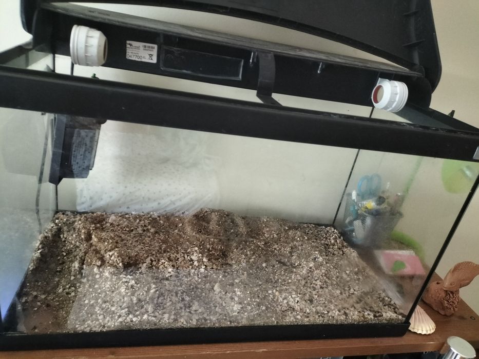 Aquário aquatlantis