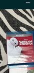 Wielka szóstka blu ray