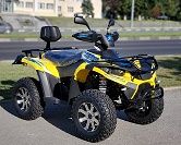 Электроквадроцикл Linhai LH40DA 4000W