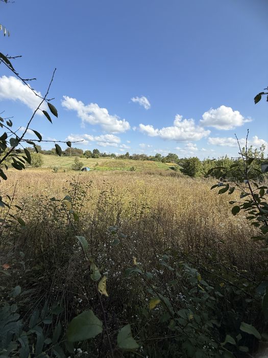 Будинок в с. Вереміївка