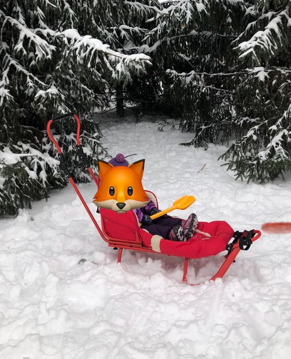 Piccolino санки з конвертом і колесами