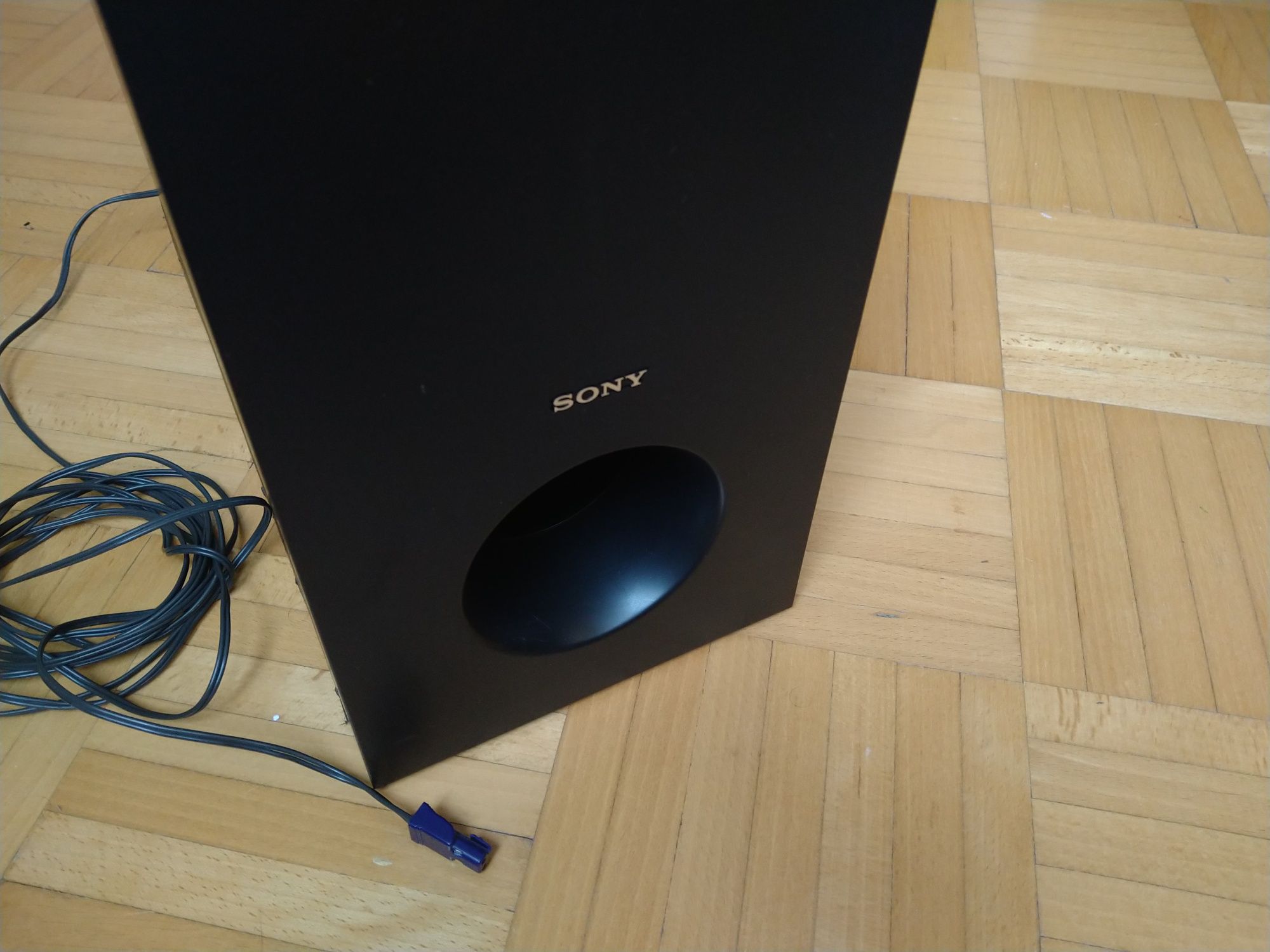 Subufer Sony SS-WS101