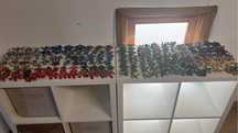 172 Figuras Gormiti
