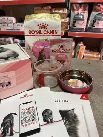 Royal canin maine coon kitten набір