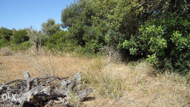 Algarve - Terreno próximo da praia Fuseta