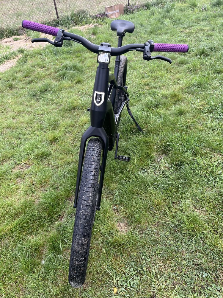Rower Serial 1 by Harley Davidson Ebike XL