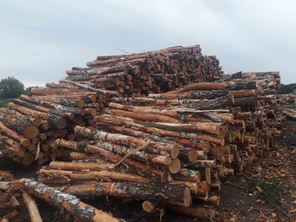 Drewno opałowe kominkowe lupane