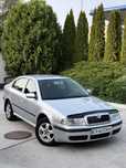 Skoda Octavia Tour 1.6 MPI Газ-Бензин (Доставка по Украине)
