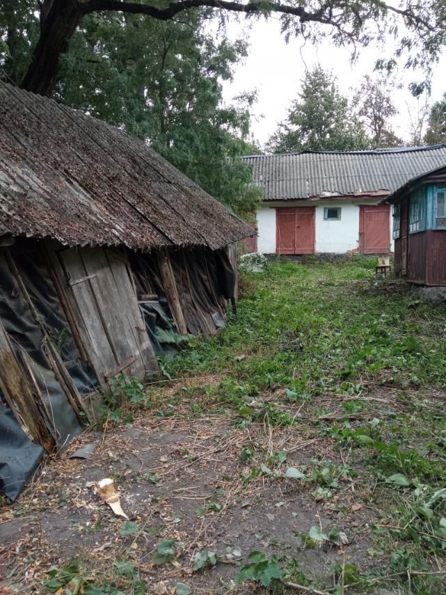 Продається зата в селі Черниця, Корецького району