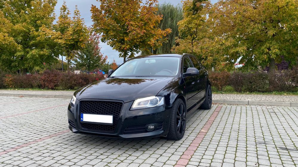 Audi A3 8P Lift 1.6 TDI