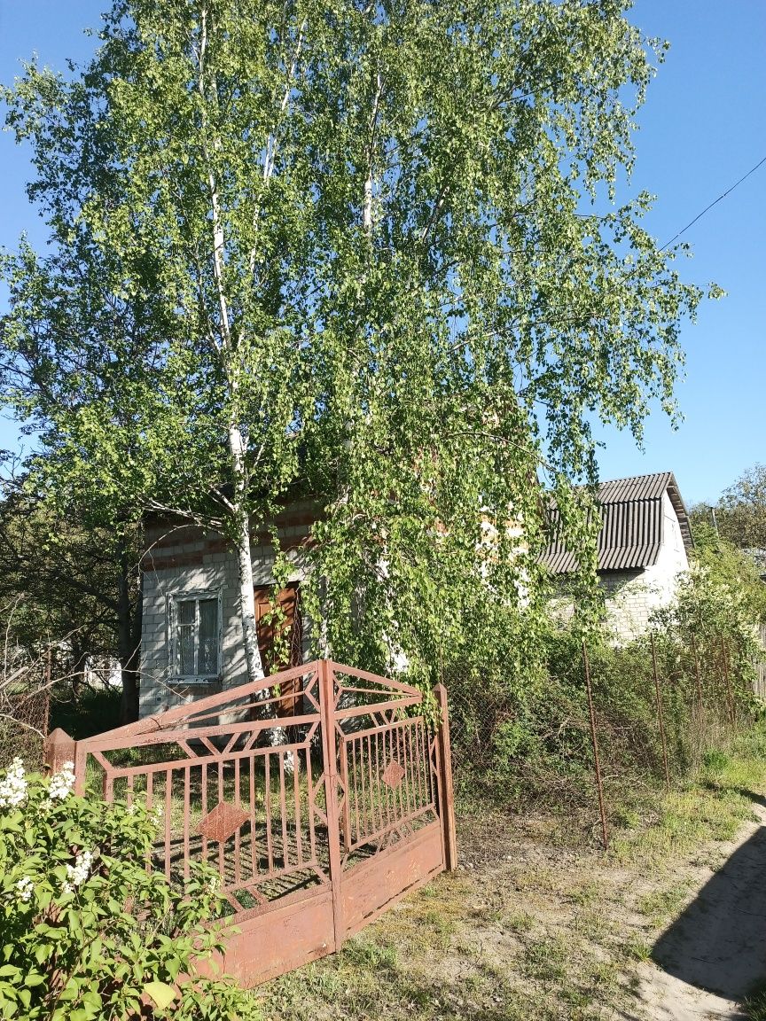 Дача. Печь, погреб,балкон.СО Деснянка