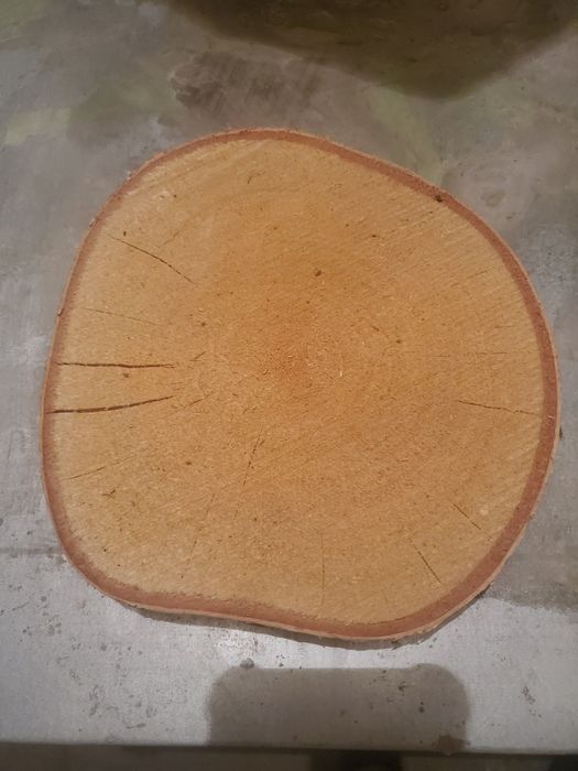 Sprzedam plastry drewna brzoza 10 szt