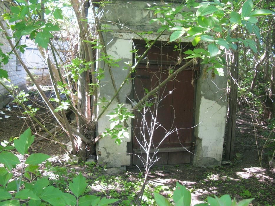 Будинок з ділянкою у с. Степанці Канівського р-ну Черкаська обл.