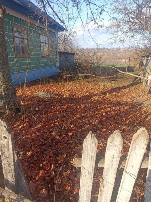 Продам будинок з землею Одеська обл. село Дубинове