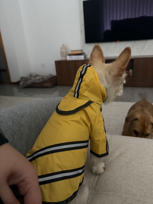 Impermeaveis animais