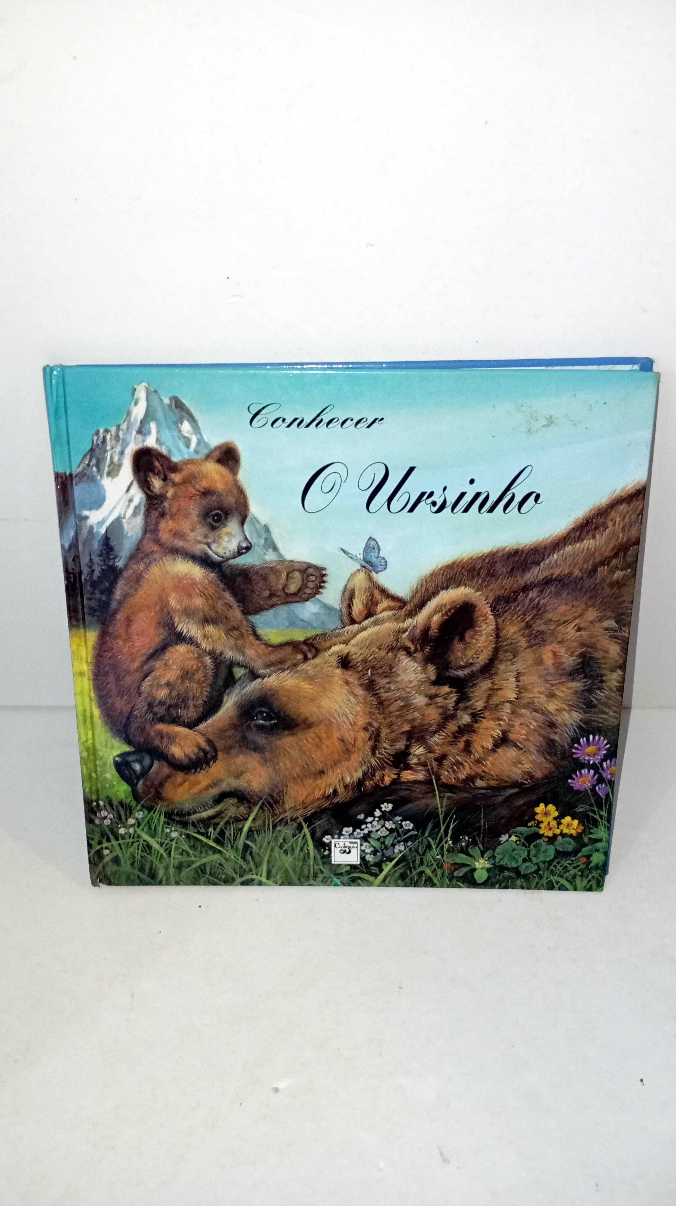 Conhecer O Ursinho