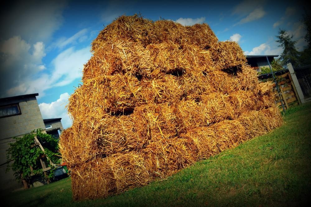 Słoma w kostkach 2024!! (Snopek) Tegoroczne Wysyłka, Możliwy Transport