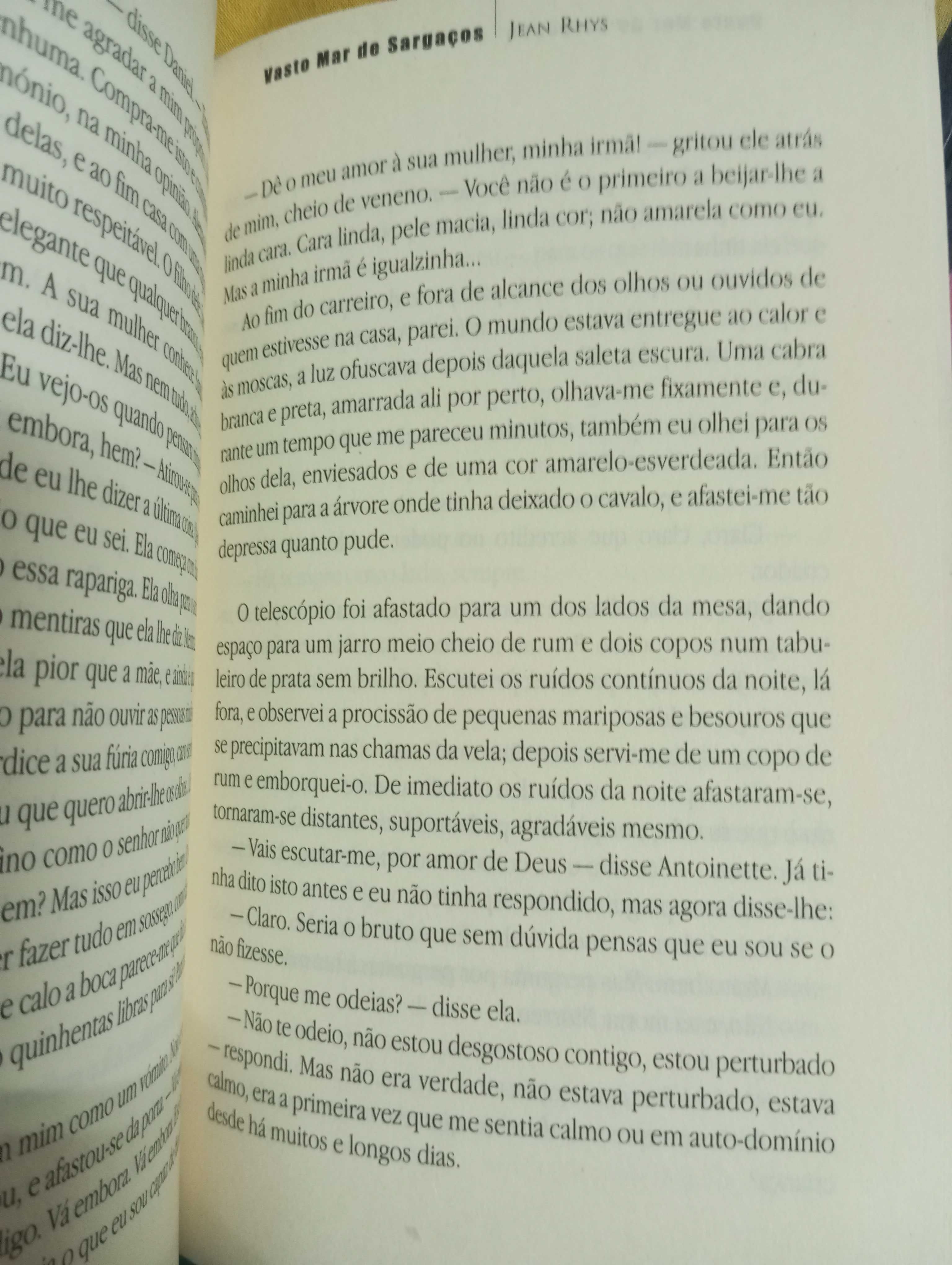 Basto mar de sargaços, Jean Rhys