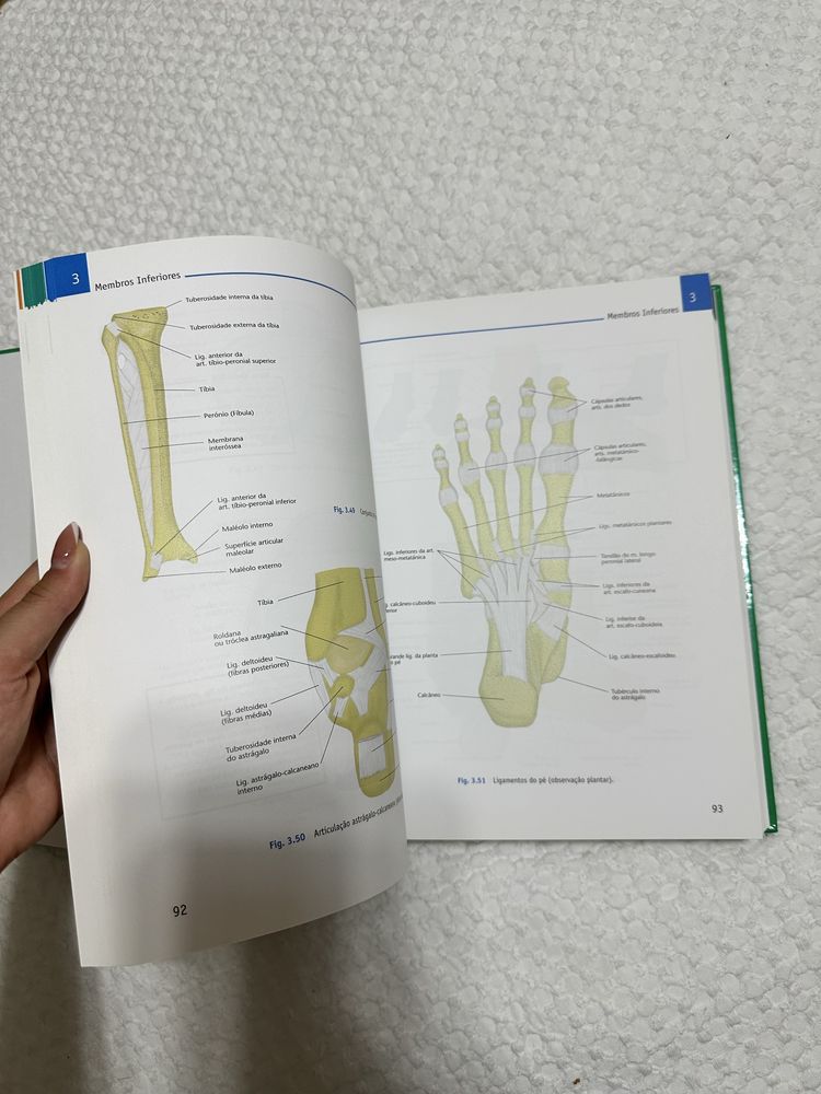 Atlas de Anatomia
