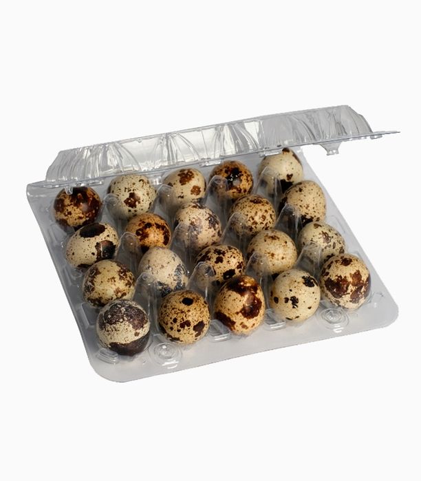 Перепелині яйця (домашні)