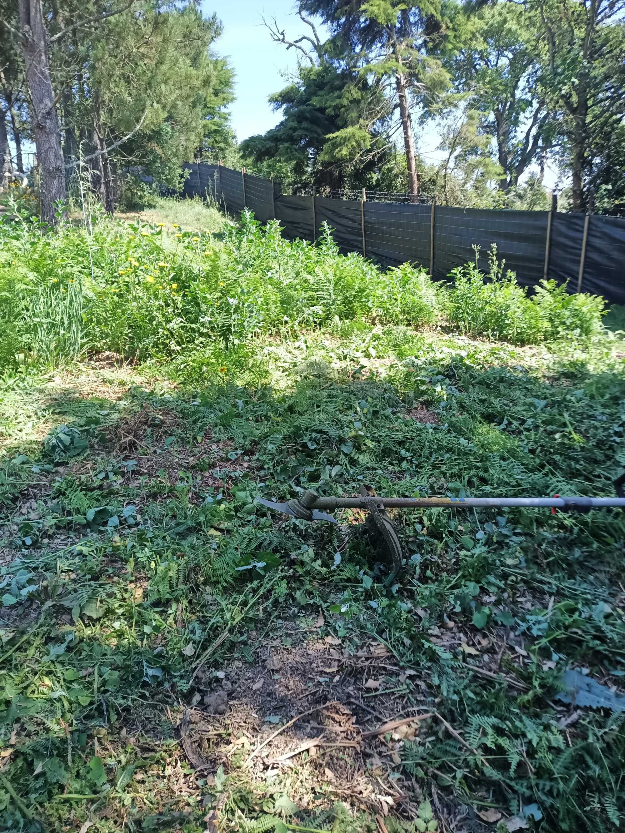 Limpeza de terrenos e manutenção de jardins.