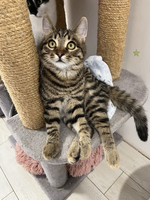 Мальчик 5 мес привит