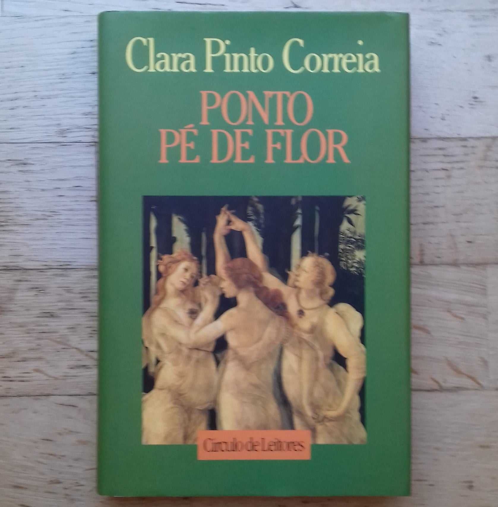 Livros de Clara Pinto Correia